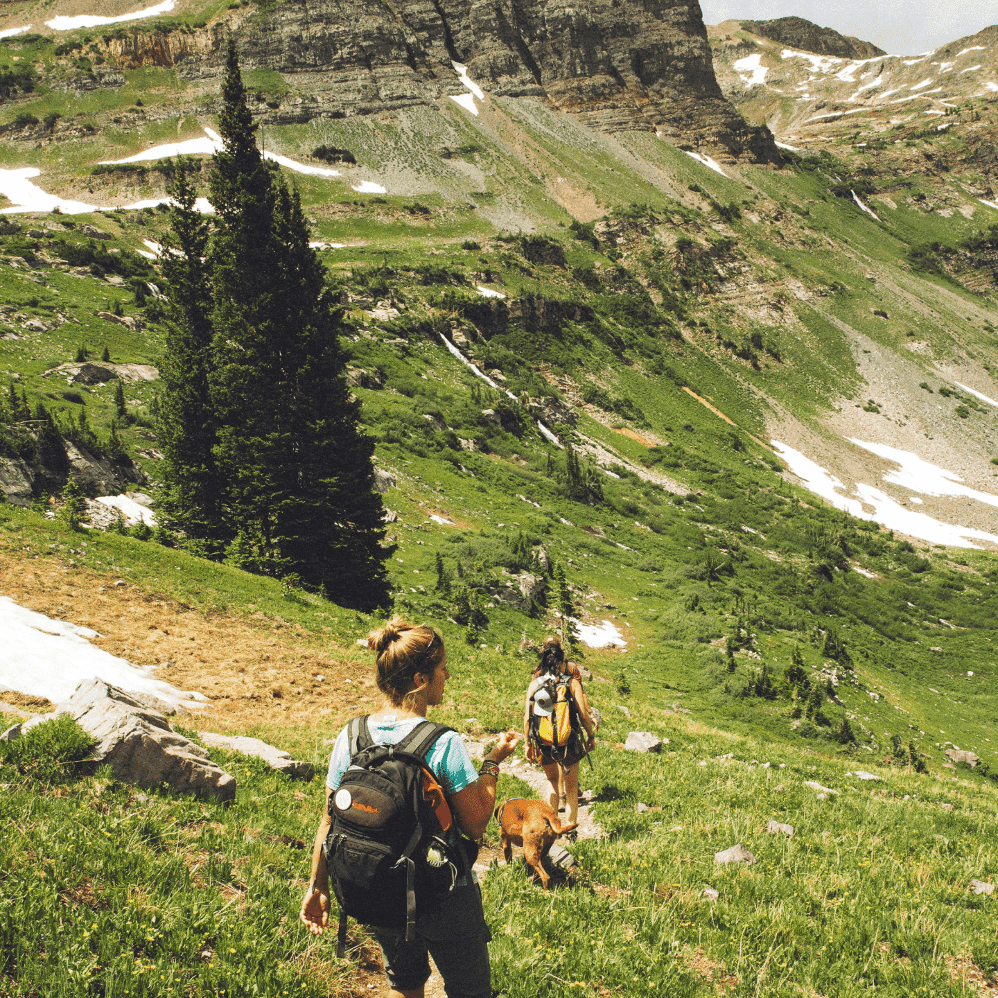 Two women hikers walking down a green mountain path. 